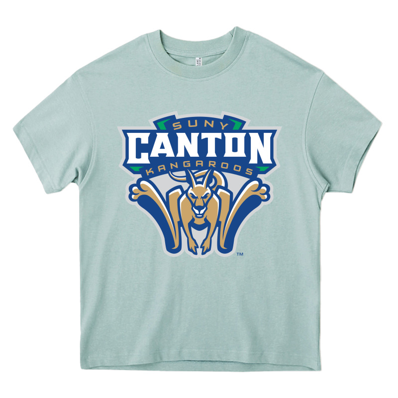 Suny Canton Heavy Core Tee by linhVisuals | Teevron