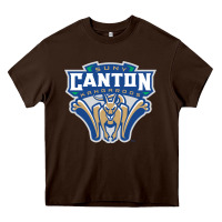 Chocolate Brown suny canton Heavy Core Tee - linhVisuals