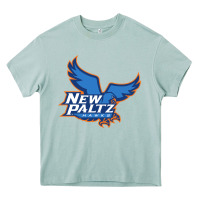 Arona suny new paltz Heavy Core Tee - linhVisuals