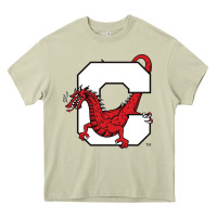 Mossy suny cortland red dragons Heavy Core Tee - linhVisuals
