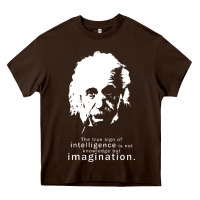Chocolate Brown albert einstein quote1 Heavy Core Tee - linhVisuals