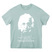 Arona albert einstein quote1 Heavy Core Tee - linhVisuals