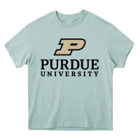 Arona Purdue University, Apparel Heavy Core Tee - linhVisuals