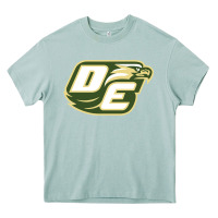 Arona desoto high school, desoto Heavy Core Tee - linhVisuals