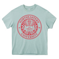 Northeastern University Heavy Core Tee | Teevron