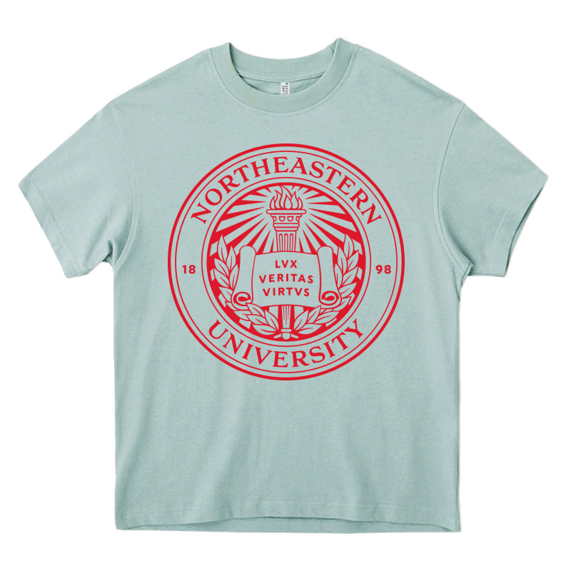 Northeastern University Heavy Core Tee by linhVisuals | Teevron