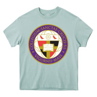 Arona college of the holy cross Heavy Core Tee - linhVisuals