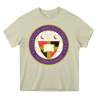 Mossy college of the holy cross Heavy Core Tee - linhVisuals