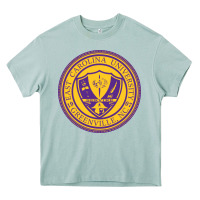 Arona east carolina university Heavy Core Tee - linhVisuals
