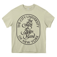 Mossy College Of Staten Island Heavy Core Tee - linhVisuals