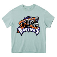 Arona knoxville ice bears Heavy Core Tee - linhVisuals