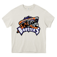 Knoxville Ice Bears Heavy Core Tee | Teevron