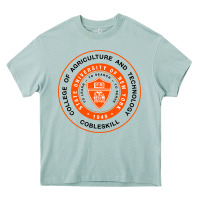 Arona Suny Cobleskill Heavy Core Tee - linhVisuals