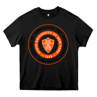 Black Suny Cobleskill Heavy Core Tee - linhVisuals