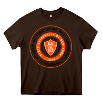 Chocolate Brown Suny Cobleskill Heavy Core Tee - linhVisuals
