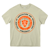 Mossy Suny Cobleskill Heavy Core Tee - linhVisuals