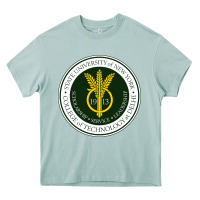 Arona Suny Delhi Heavy Core Tee - linhVisuals
