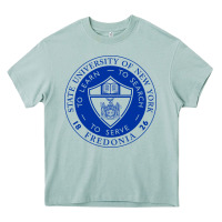 Arona Suny Fredonia Heavy Core Tee - linhVisuals