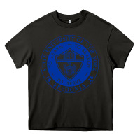 Asphalt Suny Fredonia Heavy Core Tee - linhVisuals