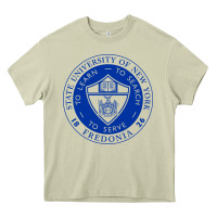 Mossy Suny Fredonia Heavy Core Tee - linhVisuals