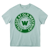 Arona Suny Old Westbury Heavy Core Tee - linhVisuals
