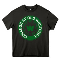 Asphalt Suny Old Westbury Heavy Core Tee - linhVisuals