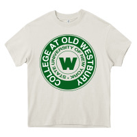 Suny Old Westbury Heavy Core Tee | Teevron