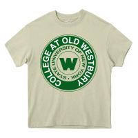 Mossy Suny Old Westbury Heavy Core Tee - linhVisuals