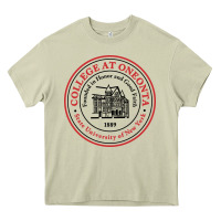 Mossy Suny Oneonta Heavy Core Tee - linhVisuals