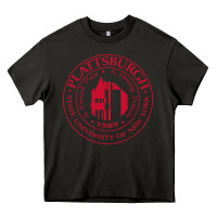 Asphalt Suny Plattsburgh Heavy Core Tee - linhVisuals