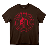 Chocolate Brown Suny Plattsburgh Heavy Core Tee - linhVisuals