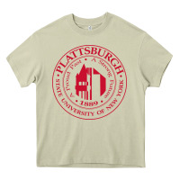 Mossy Suny Plattsburgh Heavy Core Tee - linhVisuals