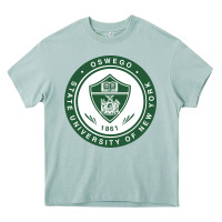 Arona Suny Oswego Heavy Core Tee - linhVisuals