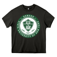 Asphalt Suny Oswego Heavy Core Tee - linhVisuals