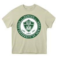 Mossy Suny Oswego Heavy Core Tee - linhVisuals
