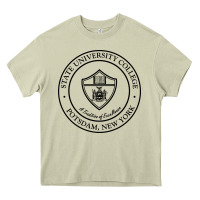 Mossy Suny Potsdam Heavy Core Tee - linhVisuals