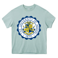 Arona University Of Akron Heavy Core Tee - linhVisuals