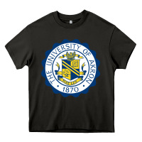 Asphalt University Of Akron Heavy Core Tee - linhVisuals