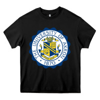 Black University Of Akron Heavy Core Tee - linhVisuals