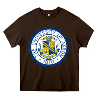 University Of Akron Heavy Core Tee | Teevron