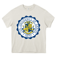 Cream University Of Akron Heavy Core Tee - linhVisuals