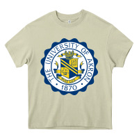 Mossy University Of Akron Heavy Core Tee - linhVisuals