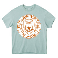 Arona University Of Texas At Austin Heavy Core Tee - linhVisuals