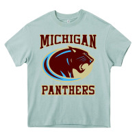 Arona The Panthers Heavy Core Tee - linhVisuals