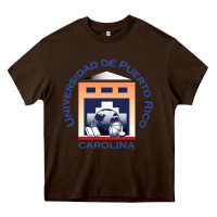 Chocolate Brown Upr At Carolina Heavy Core Tee - linhVisuals