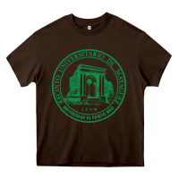 Chocolate Brown Upr At Mayaguez Heavy Core Tee - linhVisuals