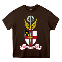 Chocolate Brown Virginia Military Institute Heavy Core Tee - linhVisuals