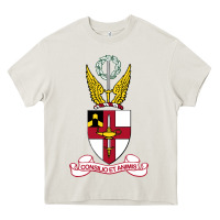Cream Virginia Military Institute Heavy Core Tee - linhVisuals