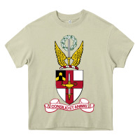 Mossy Virginia Military Institute Heavy Core Tee - linhVisuals