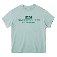 Arona University Of Alaska Anchorage Heavy Core Tee - linhVisuals